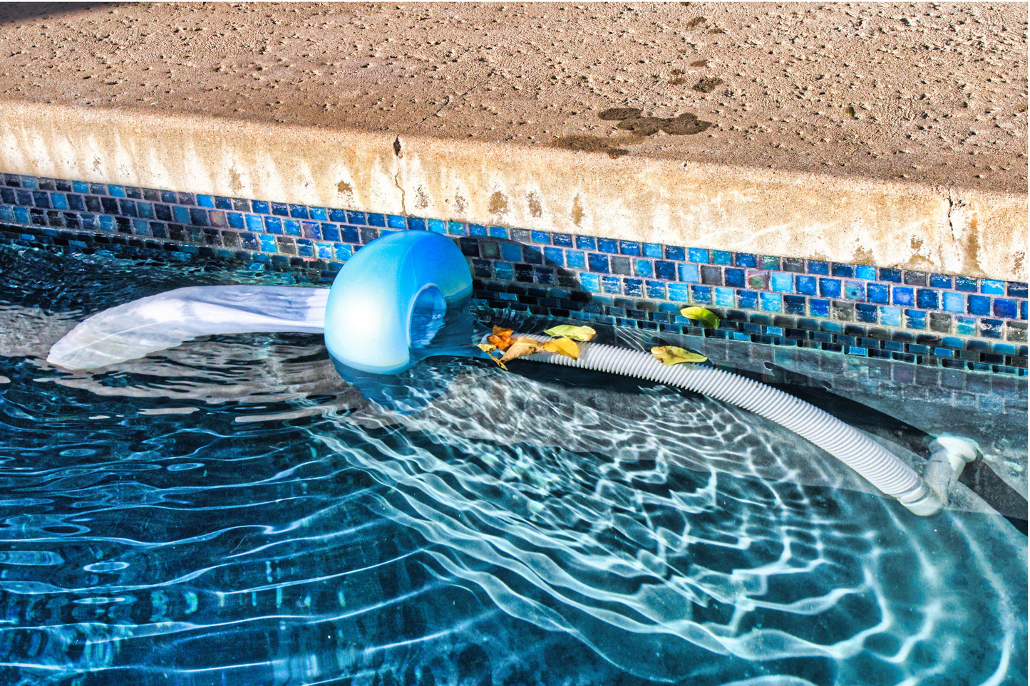 Pooldevil Pro pool cleaner, pool view